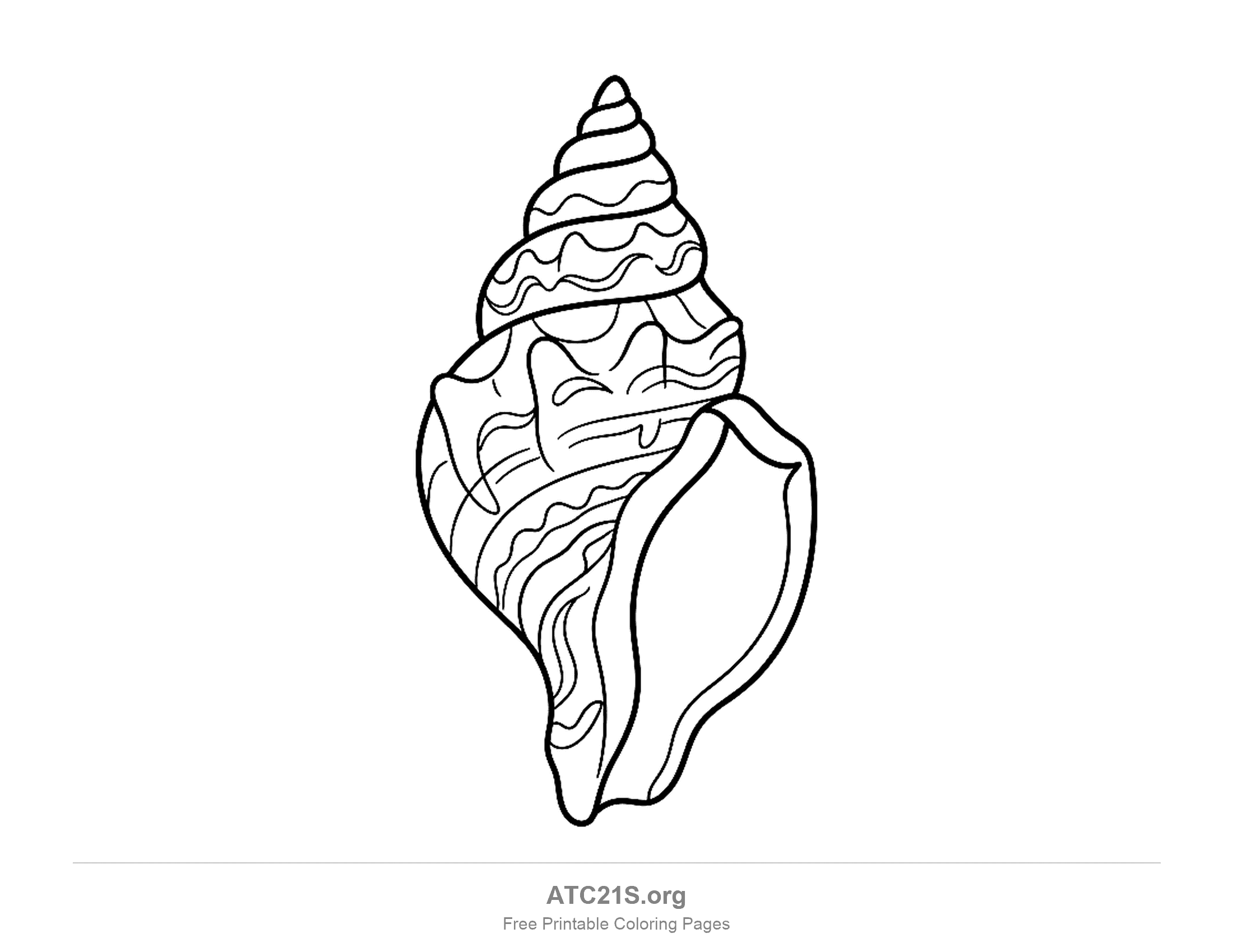 Tall spiral sea snail shell standing point up, with wavy bands around every turn, knobs on its shoulder and a long opening down one side, detailed seashell coloring page for older kids