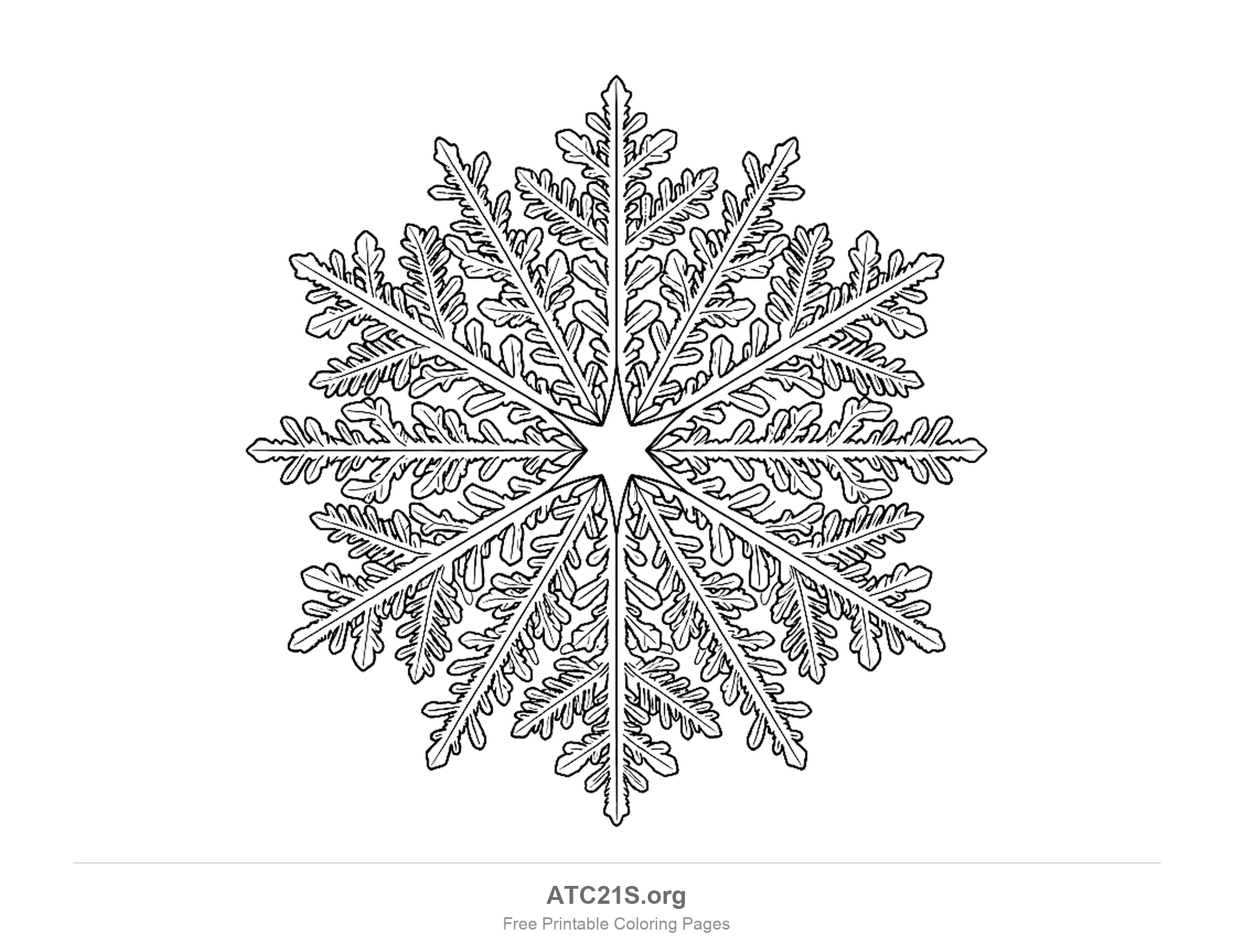 Fine feathery dendrite snowflake with six long arms covered in tiny leaf-shaped side branches, detailed snowflake coloring page for older kids and adults