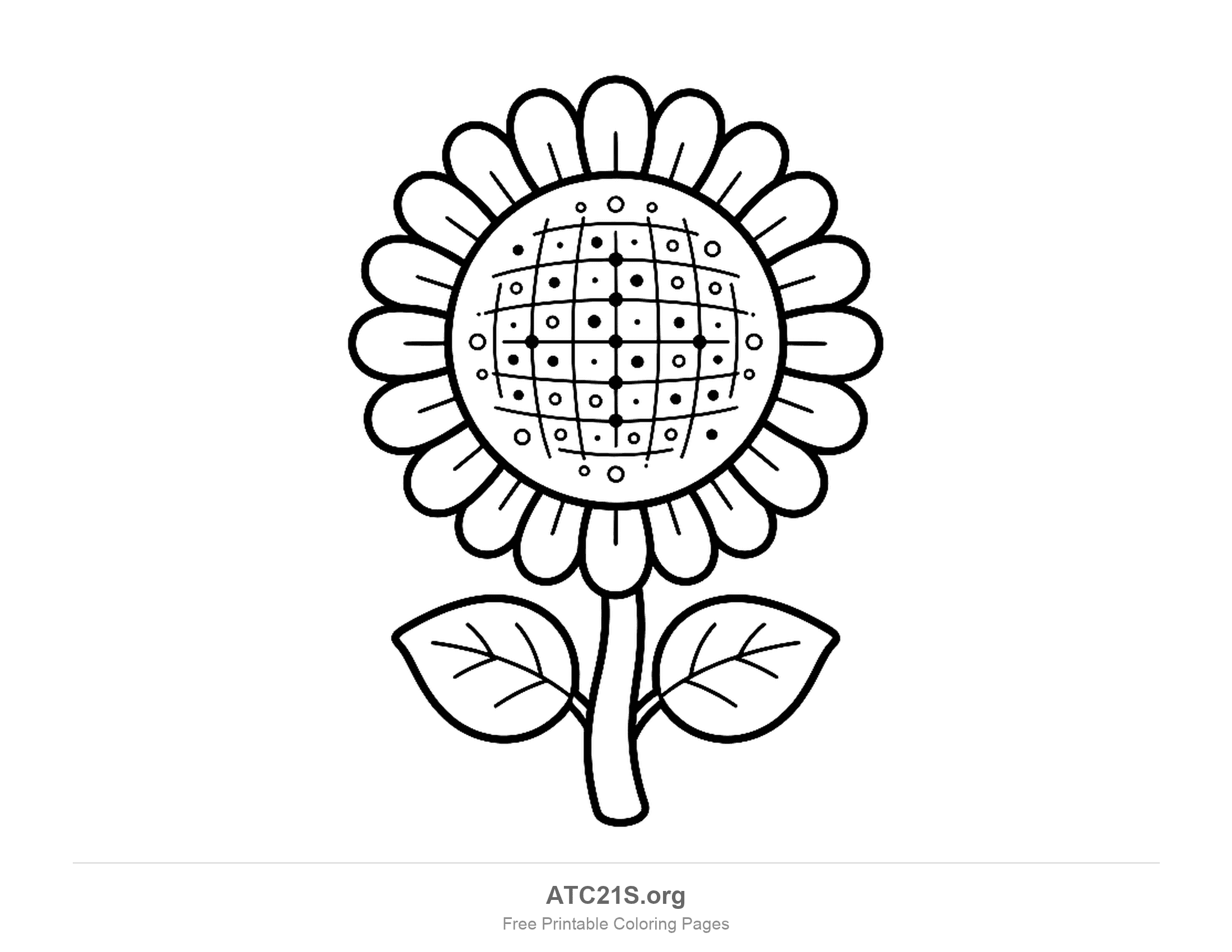 Sunflower with one ring of rounded petals around a big centre marked with curved lines, dots and small circles, two veined leaves on a curving stem, simple coloring page for preschoolers