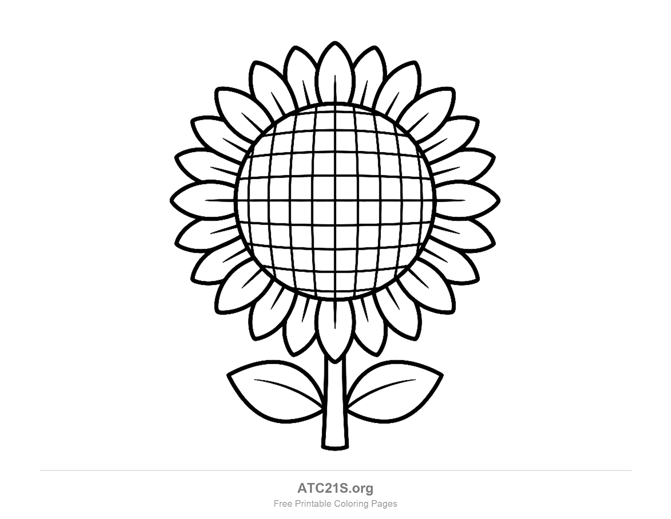 Bold sunflower with two rings of pointed petals and a large seed head divided into a net of squares, on a straight stem with two leaves, printable coloring page for kids