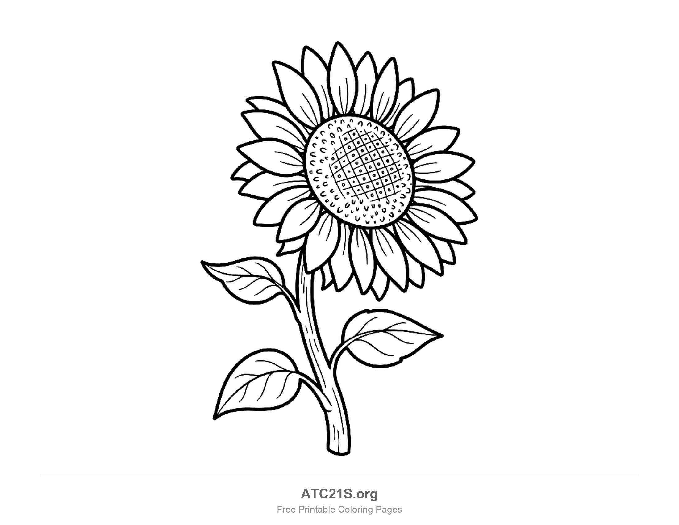 Sunflower with its head tilted to one side on a curving stem, a criss-cross seed head ringed with tiny seeds and three veined leaves, coloring page to print