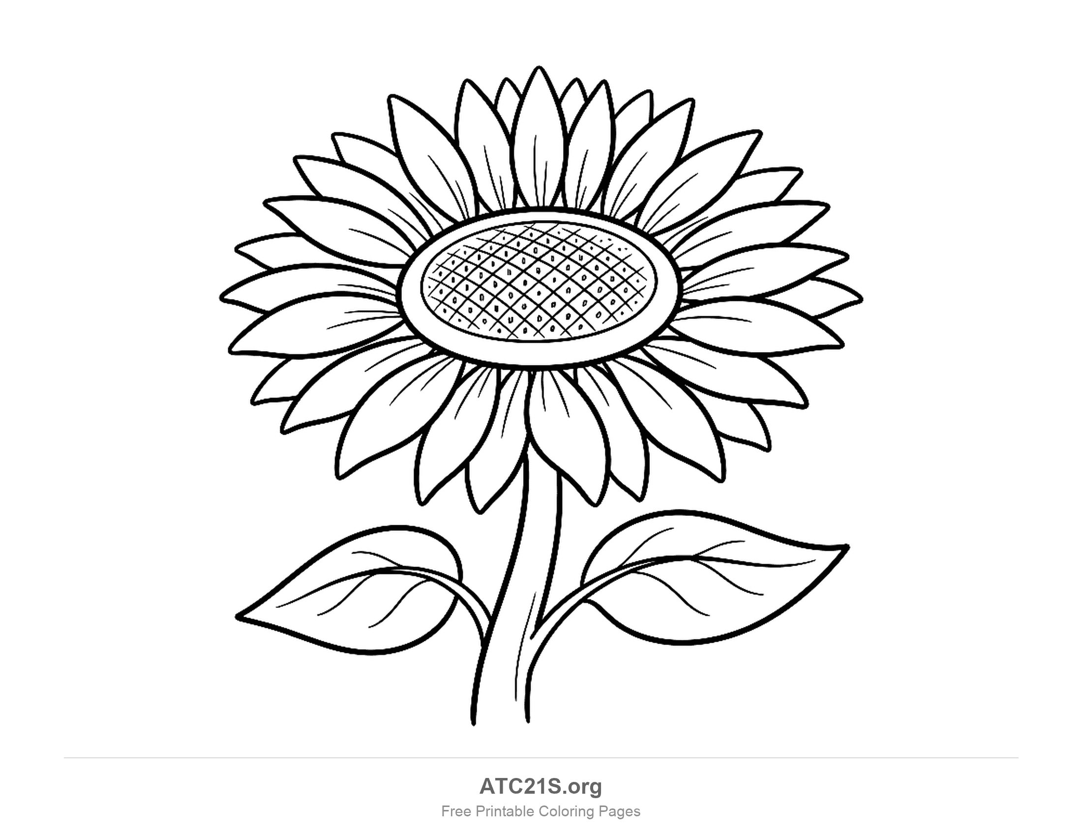 Sunflower seen from slightly below with an oval cross-hatched seed head, two layers of long pointed petals and two large leaves on a sweeping stem, detailed coloring page