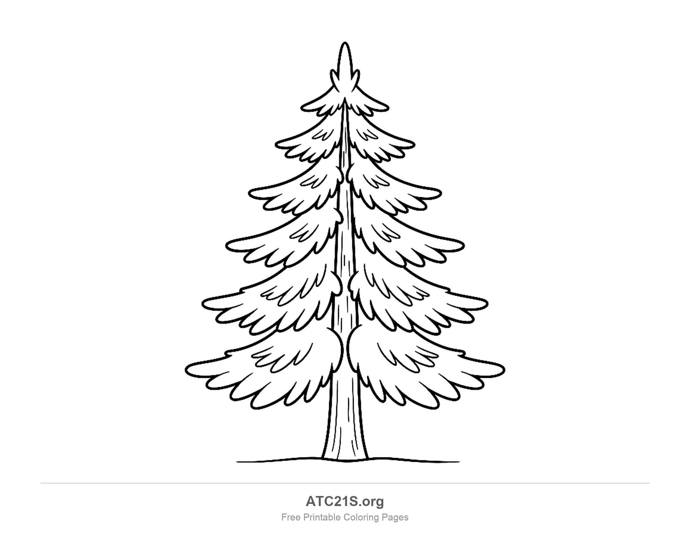 Tall evergreen pine tree with layers of drooping scalloped branches stacked up a straight trunk, printable tree coloring page for kids