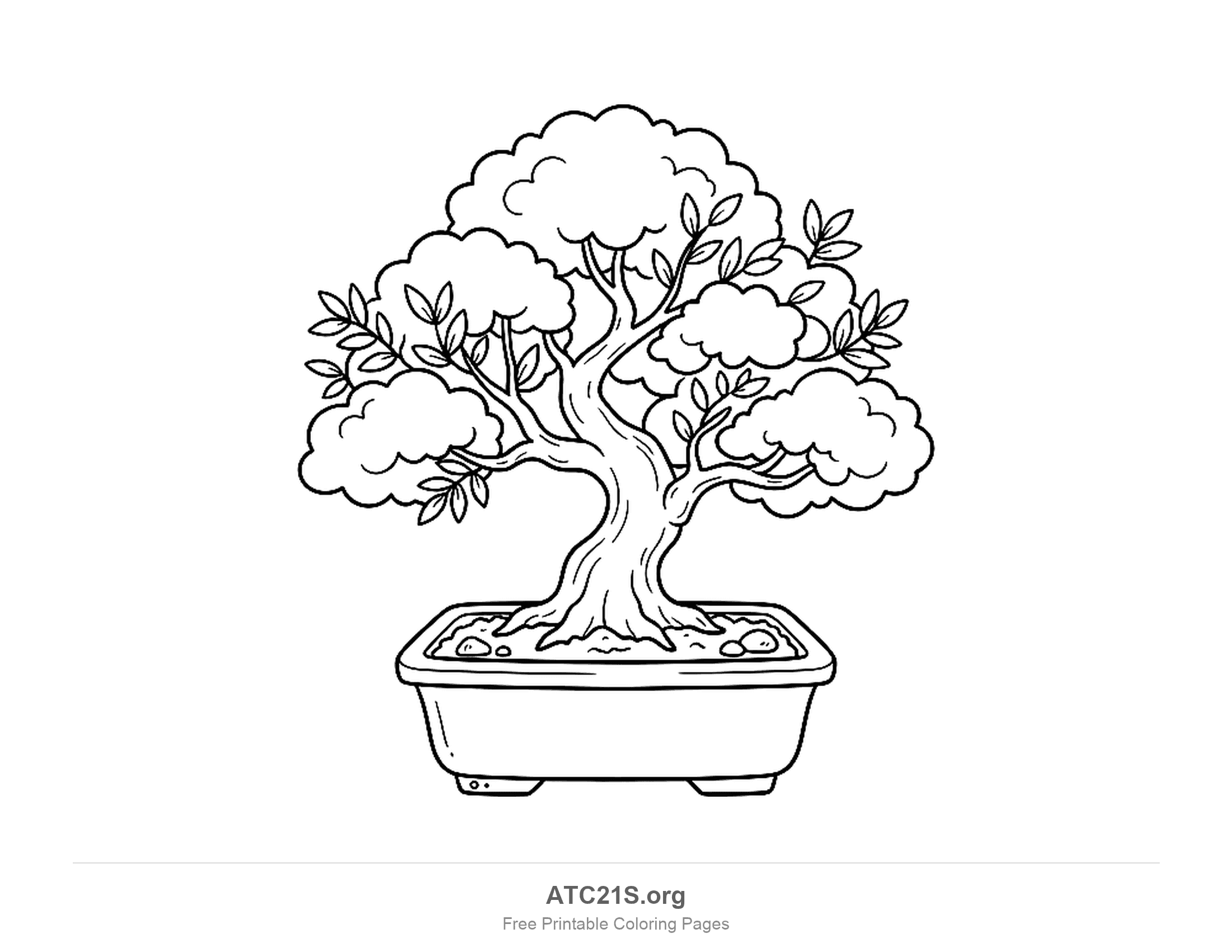 Bonsai tree with a twisting trunk and round cloud-shaped clumps of leaves, planted in a shallow rectangular pot with pebbles on the soil, tree coloring page