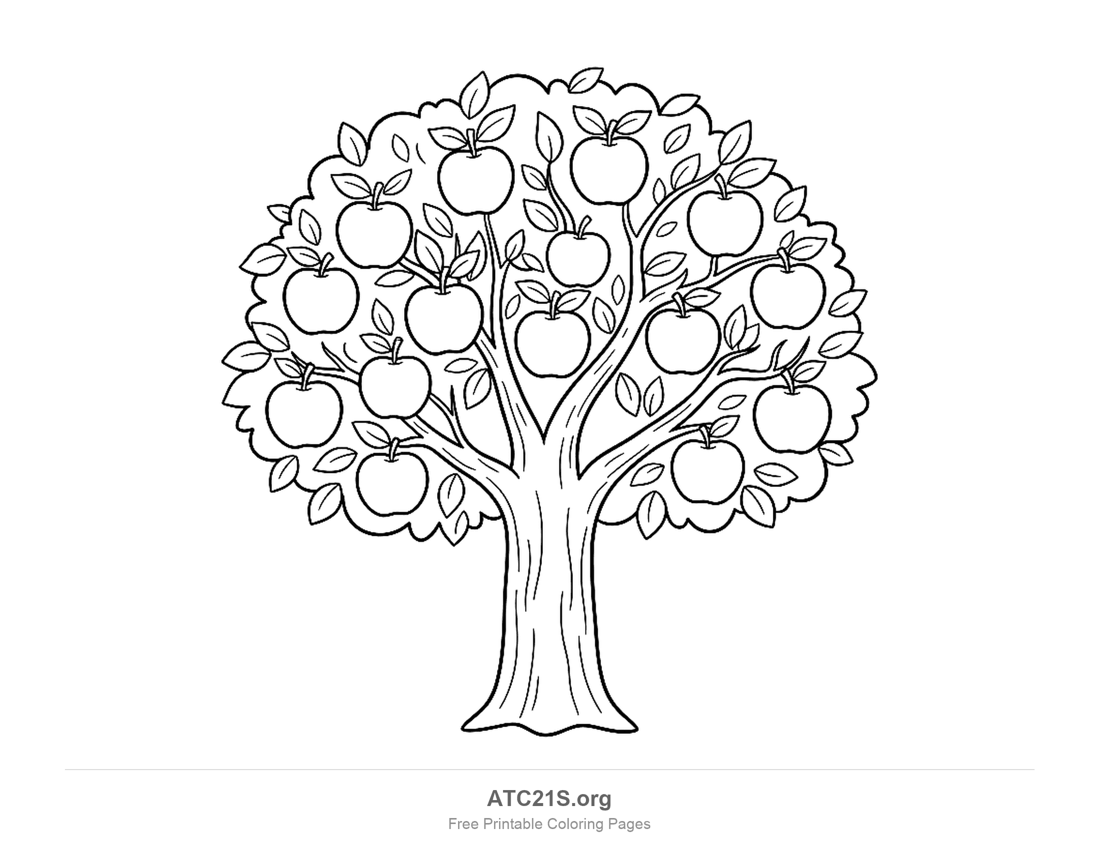 Apple tree with a round bushy crown full of leaves and fifteen apples, each with a stem and leaf, on a sturdy trunk, tree coloring page for kids