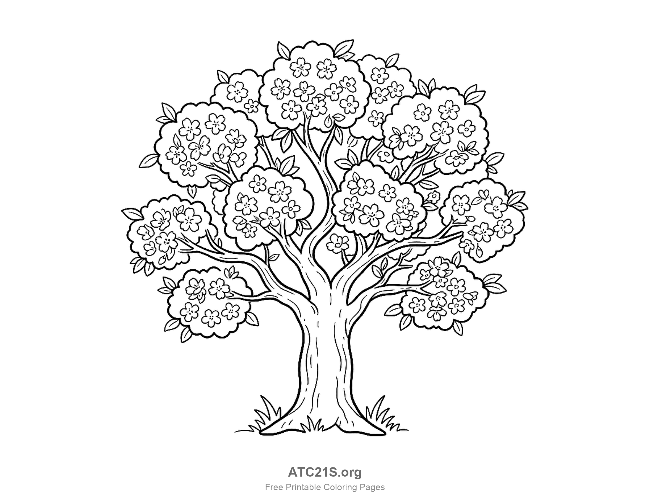 Spring blossom tree whose crown is a cluster of puffy clumps filled with small five-petalled flowers, branching trunk and grass at its base, detailed tree coloring page