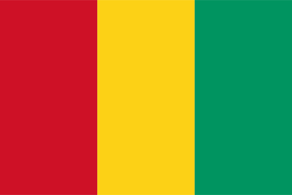 Guinea flag colored